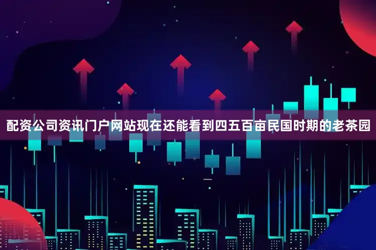 配资公司资讯门户网站现在还能看到四五百亩民国时期的老茶园